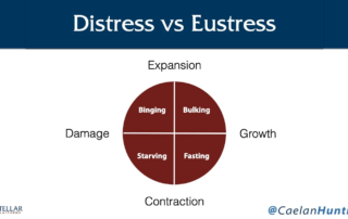 distress vs eustress