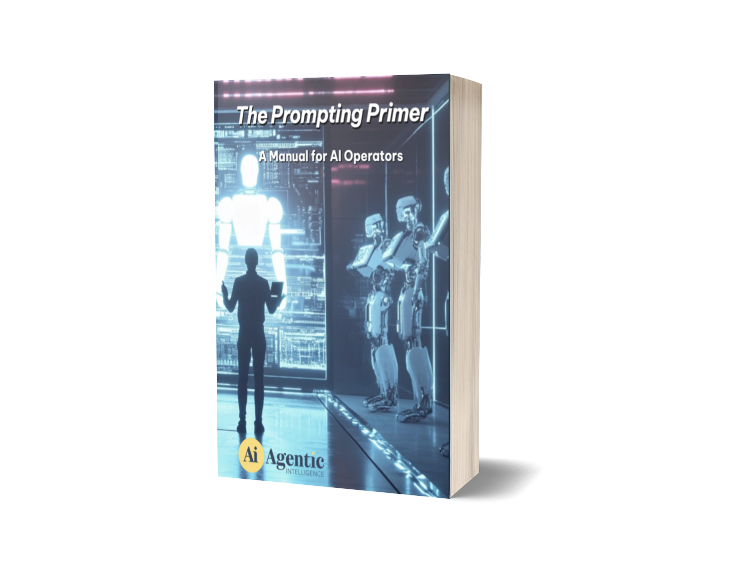 primer-cover-3d prompting primer cover