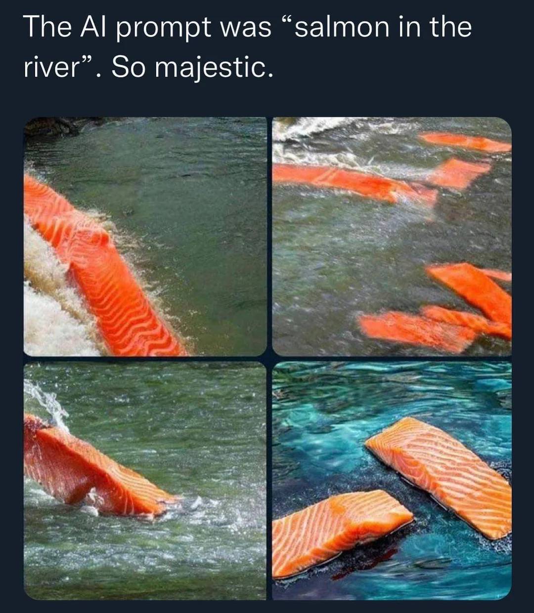 salmon in the river