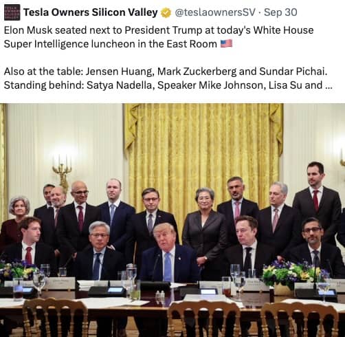 tesla-owners